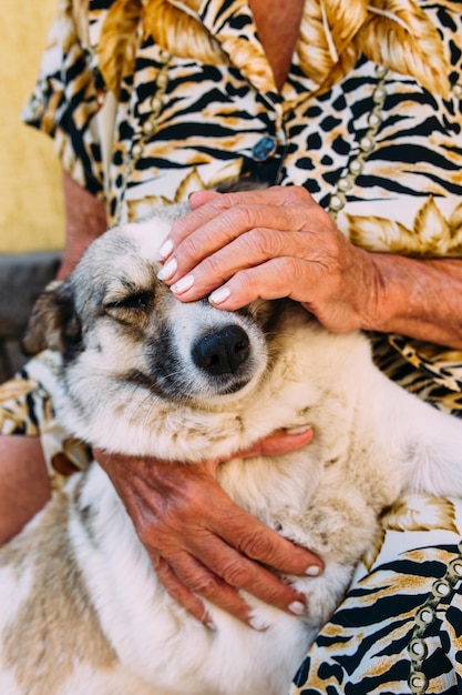 Une très vieille femme élégamment habillée caressant son chien à réaction à l'extérieur de la maison