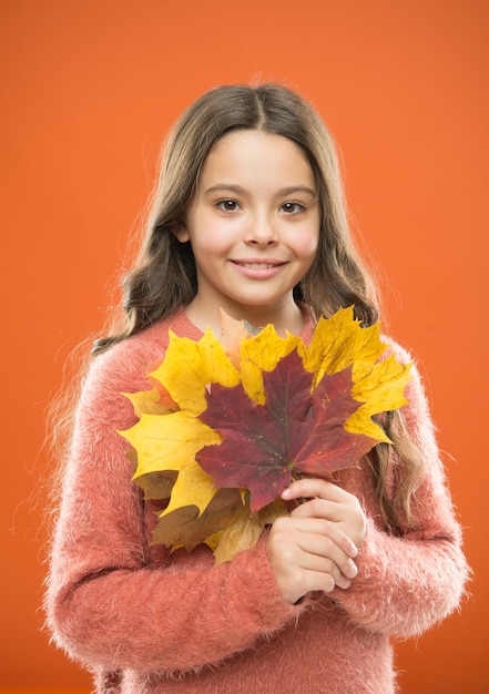 Trésors naturels Collecte de feuilles Changes dans la nature Petit enfant souriant mignon jouant avec des feuilles Symbole de l'automne Petite fille heureuse avec des feuills d'érable Petit enfant tient des feuilles d'automne Bouquet simple