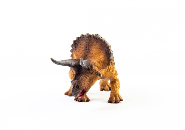 Triceratops, dinosaure isolé.