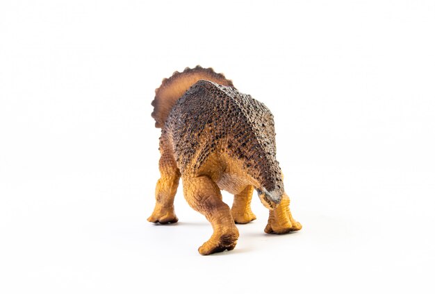 Triceratops, dinosaure isolé.