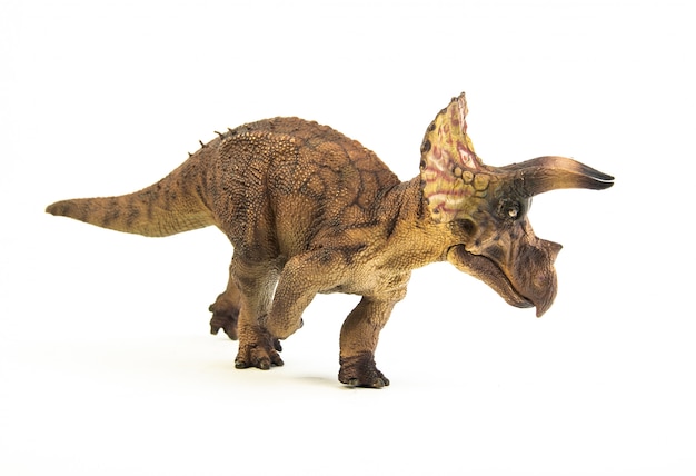 Tricératops, dinosaure