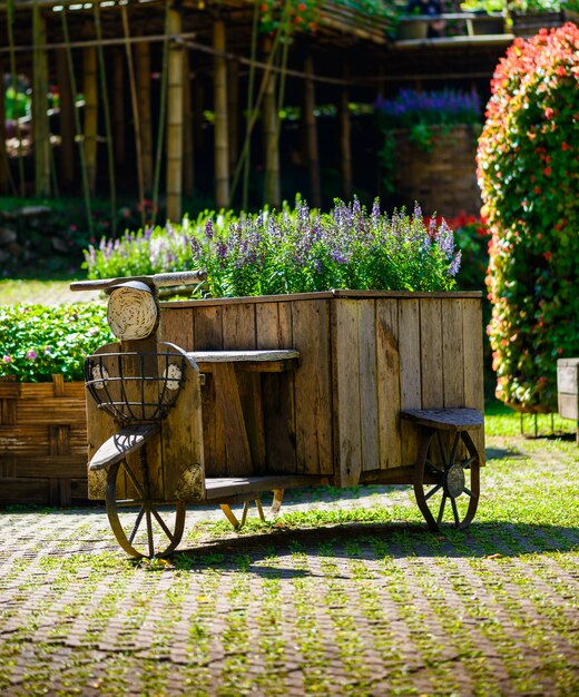 Tricycle en bois