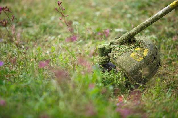 Trimer tondre l'herbe