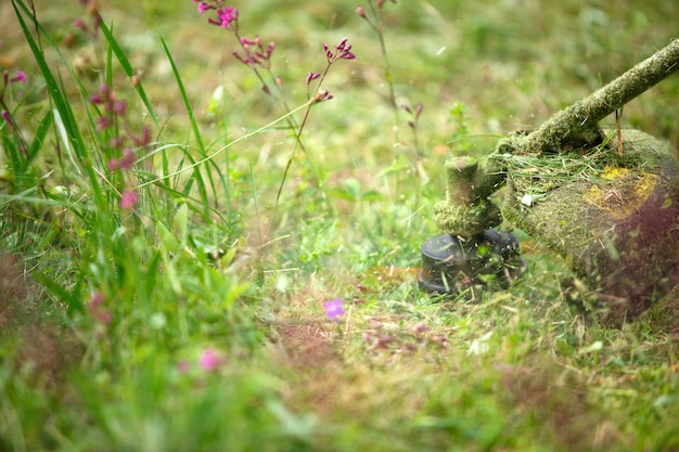 Trimer tondre l'herbe