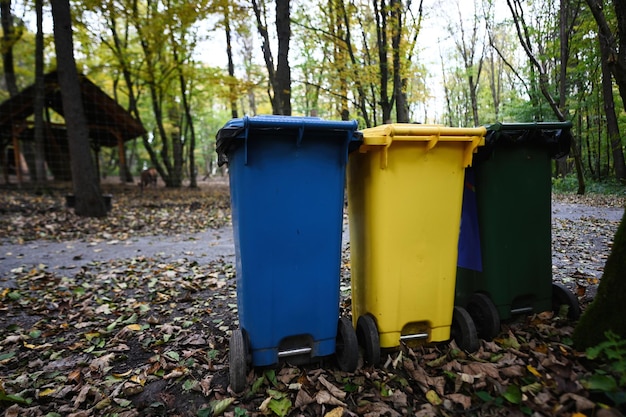 Photo trois bacs de recyclage bleu jaune et vert dans le parc d'automne sur le sol