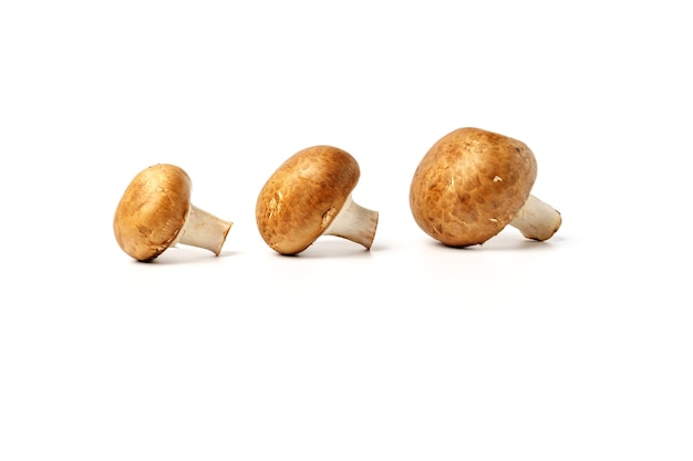 Trois champignons bruns isolés sur fond blanc.