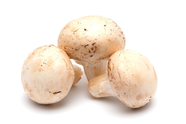 Trois champignons d'un champignon sur fond clair