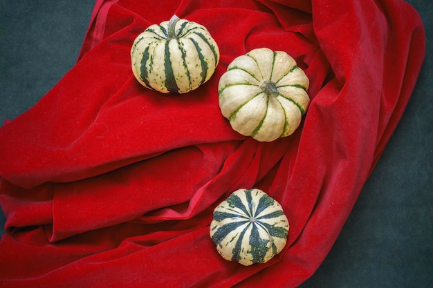 Trois citrouilles décoratives rayées sur tissu rouge