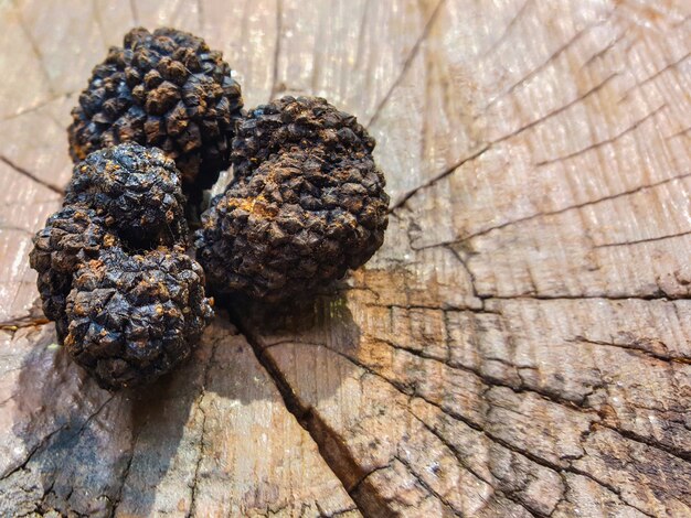 Trois cônes sur un timbre en bois.