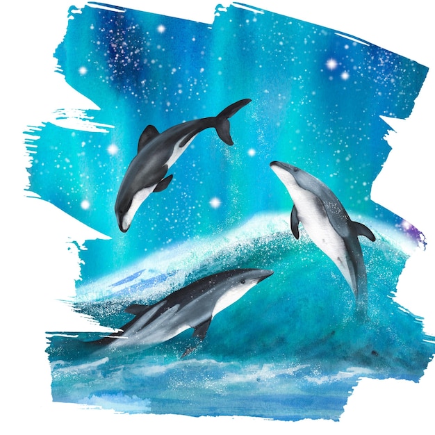 Trois dauphins aquarelles dessinés à la main