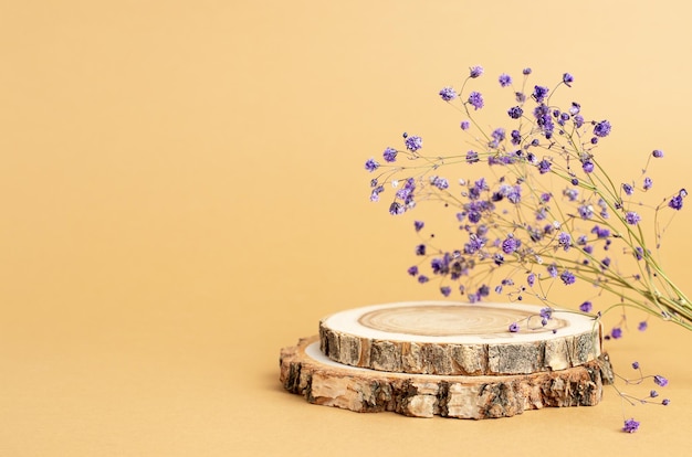 Trois disques en bois pliés en forme de podium et un brin de gypsophile sur fond beige pour la présentation du produit Espace copie