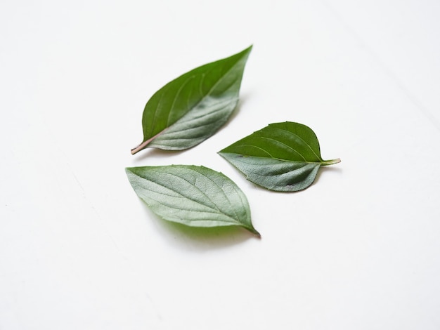 Trois feuilles de basilic thaï asiatique sur blanc