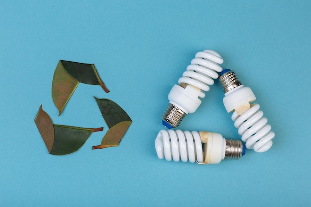 Photo trois feuilles de ficus et trois lampes à économie d'énergie en forme d'emblème de recyclage isolé sur le bleu.