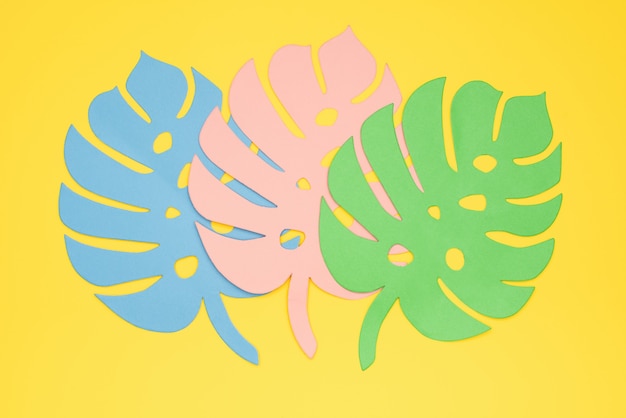 Trois feuilles de monstera multicolores découpées en papier sur fond jaune