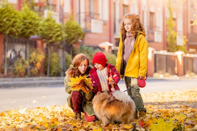 Trois filles deux sœurs aînées et un bébé marchent avec un chien poméranien moelleux le long de la rue et regardent les feuilles tombées par une journée d'automne ensoleillée