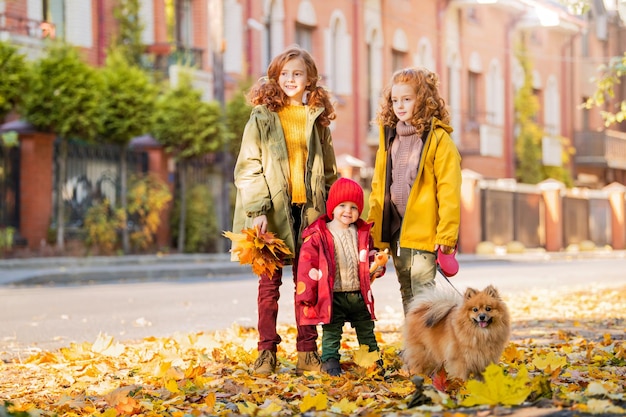 Trois filles deux sœurs aînées et un bébé marchent avec un chien poméranien moelleux le long de la rue et regardent les feuilles tombées par une journée d'automne ensoleillée