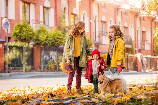 Trois filles deux sœurs aînées et un bébé marchent avec un chien poméranien moelleux le long de la rue et regardent les feuilles tombées par une journée d'automne ensoleillée