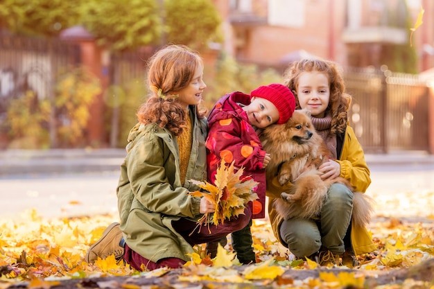 Trois filles deux sœurs aînées et un bébé marchent avec un chien poméranien moelleux le long de la rue et regardent les feuilles tombées par une journée d'automne ensoleillée