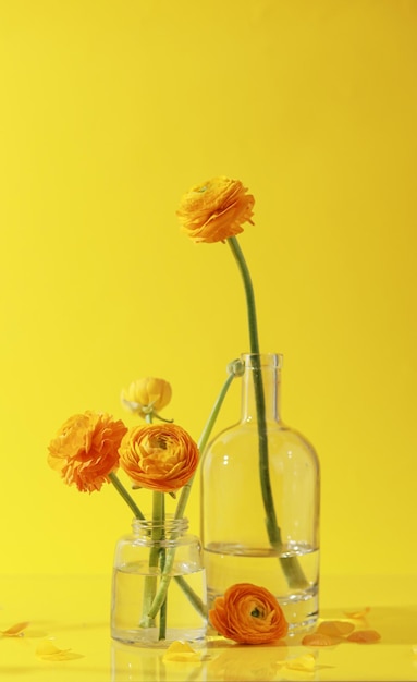 Photo trois fleurs orange dans un vase en verre sur fond jaune