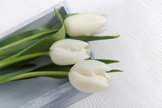 Photo trois fleurs de tulipes blanches en gros plan sur un bureau en bois blanc avec un espace de copie fleurs naturelles vue supérieure