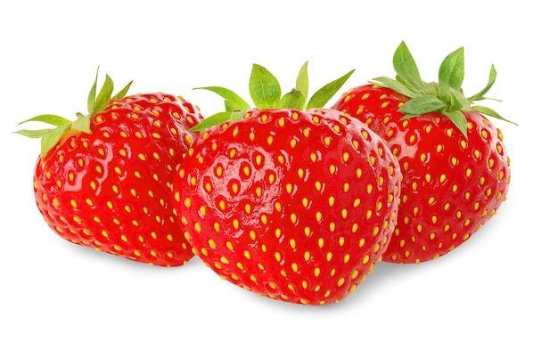Trois fraises fraîches dans une rangée isolé sur fond blanc