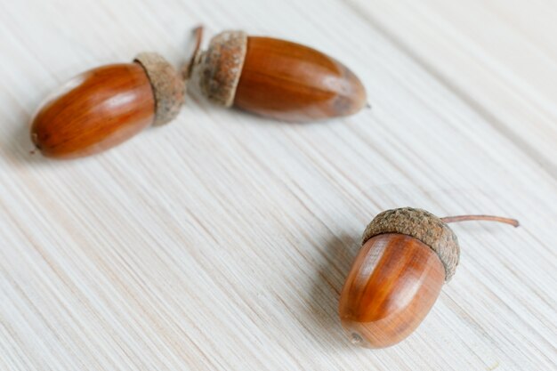 Trois glands de chêne brun brillant tombés sur une table en bois.