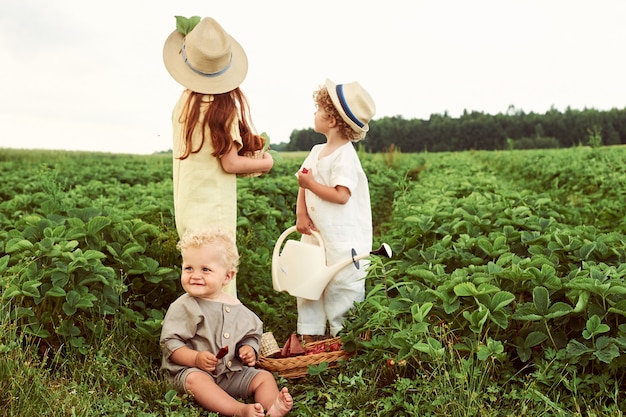 Trois jeunes enfants de race blanche vêtus de fraises de récolte de lin dans le domaine et amusez-vous