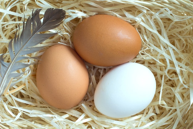 Trois œufs de poule dans la paille