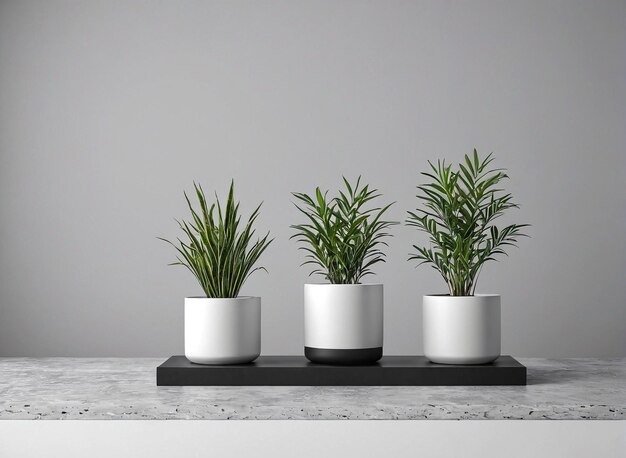 trois plantes en pot sur une table en marbre