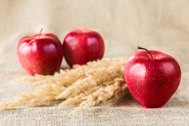Trois pommes rouges avec une pointe sur fond textile. Alimentation saine