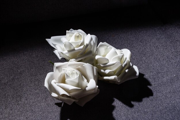 Photo trois roses blanches sur fond gris