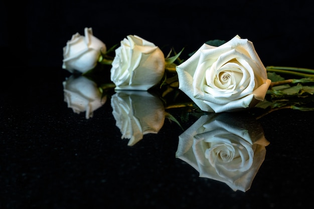 Trois roses blanches sur une surface réfléchie noire