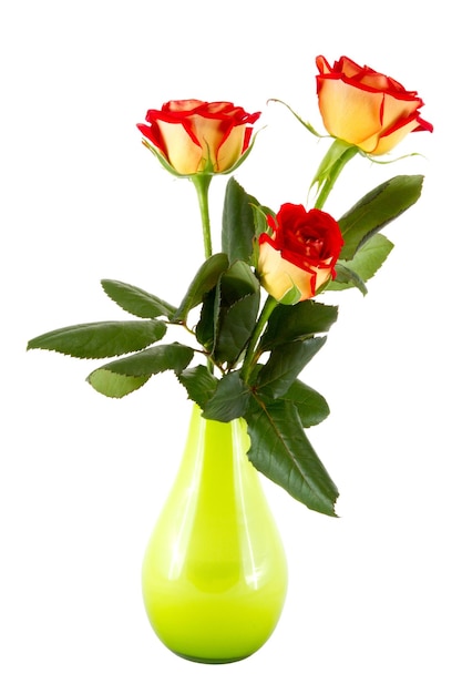 Trois roses rouges dans un vase vert