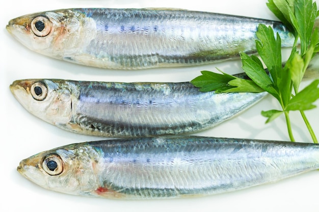 Trois sardines sur fond blanc
