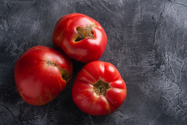 Trois tomates anciennes