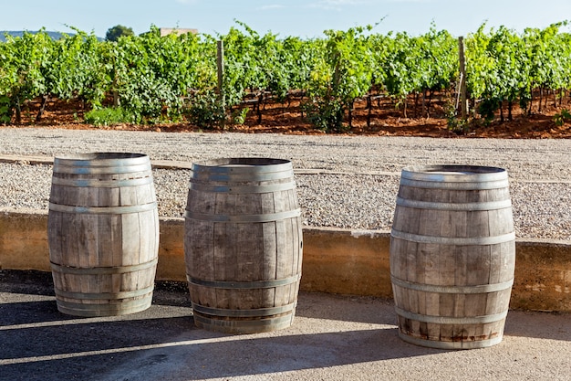 Trois tuyaux pour la fermentation du vin se tiennent sur le fond du vignoble, des tuyaux pour la fermentation du vin