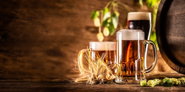 Trois verres de bière pression devant un tonneau en bois. Décor d'épis d'orge et de houblon frais.