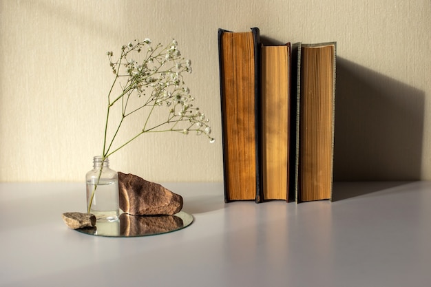 Trois vieux livres une branche d'une fleur de gypsophile blanche debout sur une bouteille