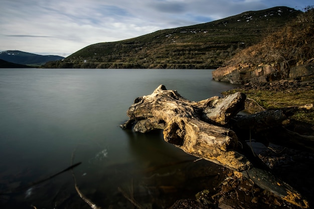 Tronc d'arbre dans un lac calme en hiver, en Cantabrie, au nord de l'Espagne