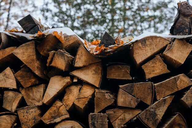 Troncs d'arbres coupés et empilés