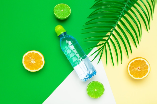 Tropic Laisse Et Bouteille D'eau. Eau Infusée Aux Fruits Detox.