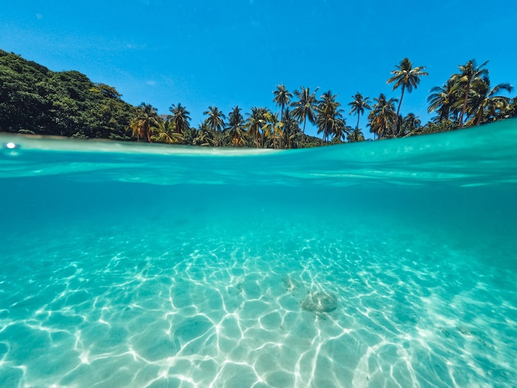 Photo tropical island palm et sous l'eau