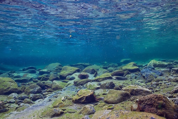 tropical mer sous l'eau arrière plan plongée océan