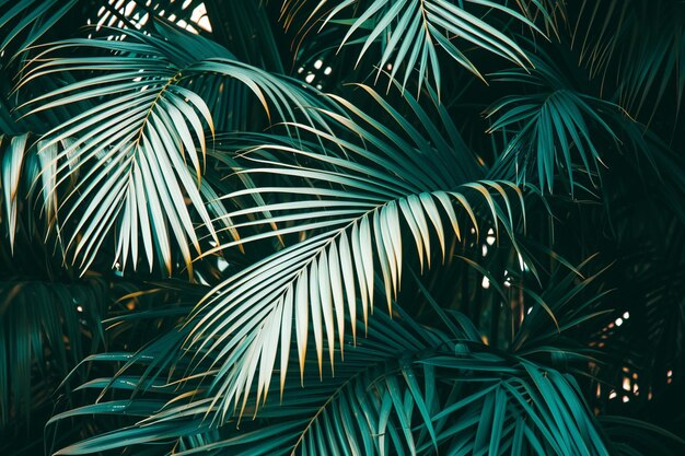 Tropical Sarcelle Tapisserie Vert Abstrait photo