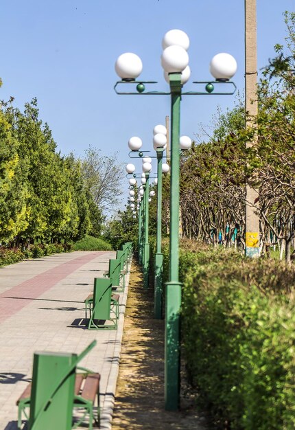 Photo un trottoir dans le parc de la ville