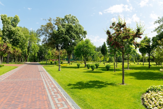 Trottoir dans le parc