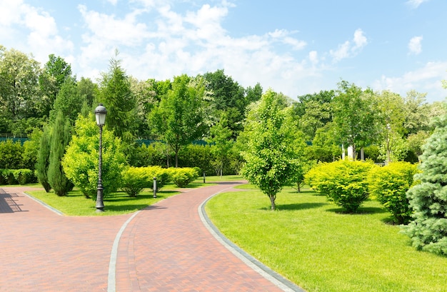 Trottoir dans le parc