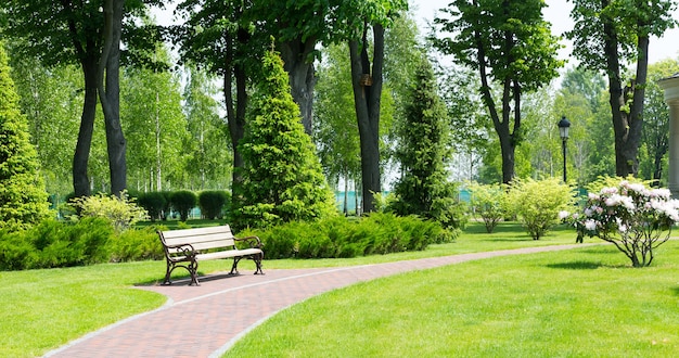 Trottoir dans le parc