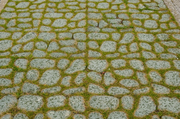 Un trottoir pavé avec de l'herbe verte au premier plan.