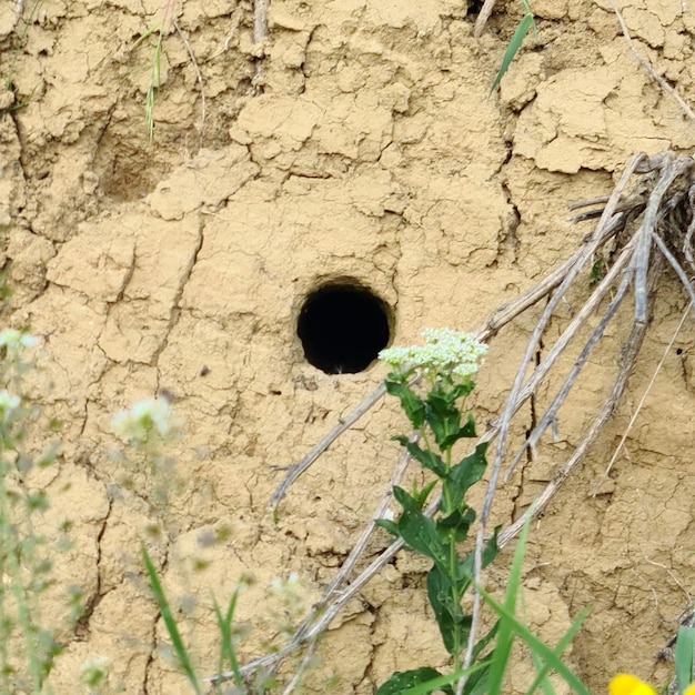 Un trou dans le mur fait d'argile